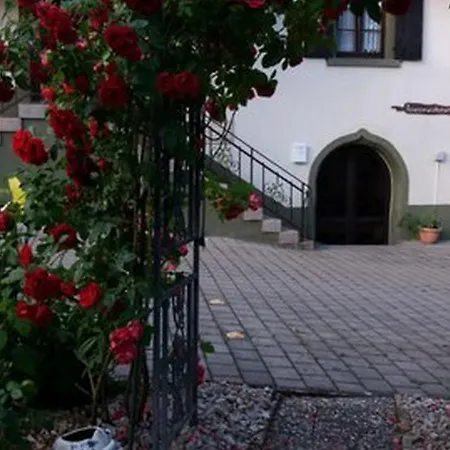 Haus Jagerwinkel Appartamento Mullheim (Baden-Wurttemberg)